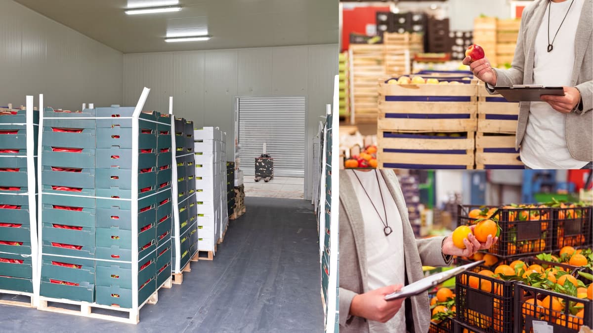 Choix du fournisseur alimentaire