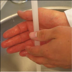 Lavage des mains pour l'Hygiène alimentaire